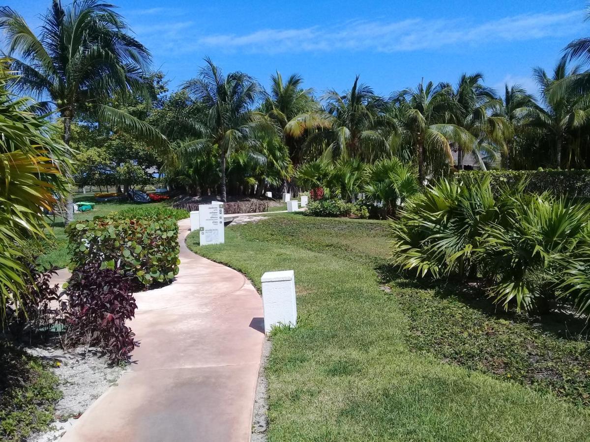Swim The Caribbean & Work With A View Leilighet Cancún Eksteriør bilde