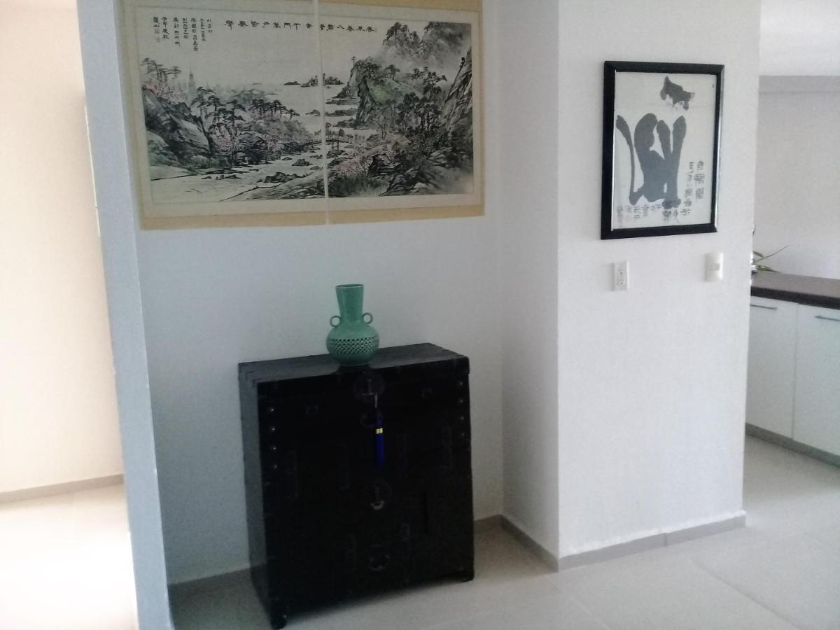 Swim The Caribbean & Work With A View Leilighet Cancún Eksteriør bilde