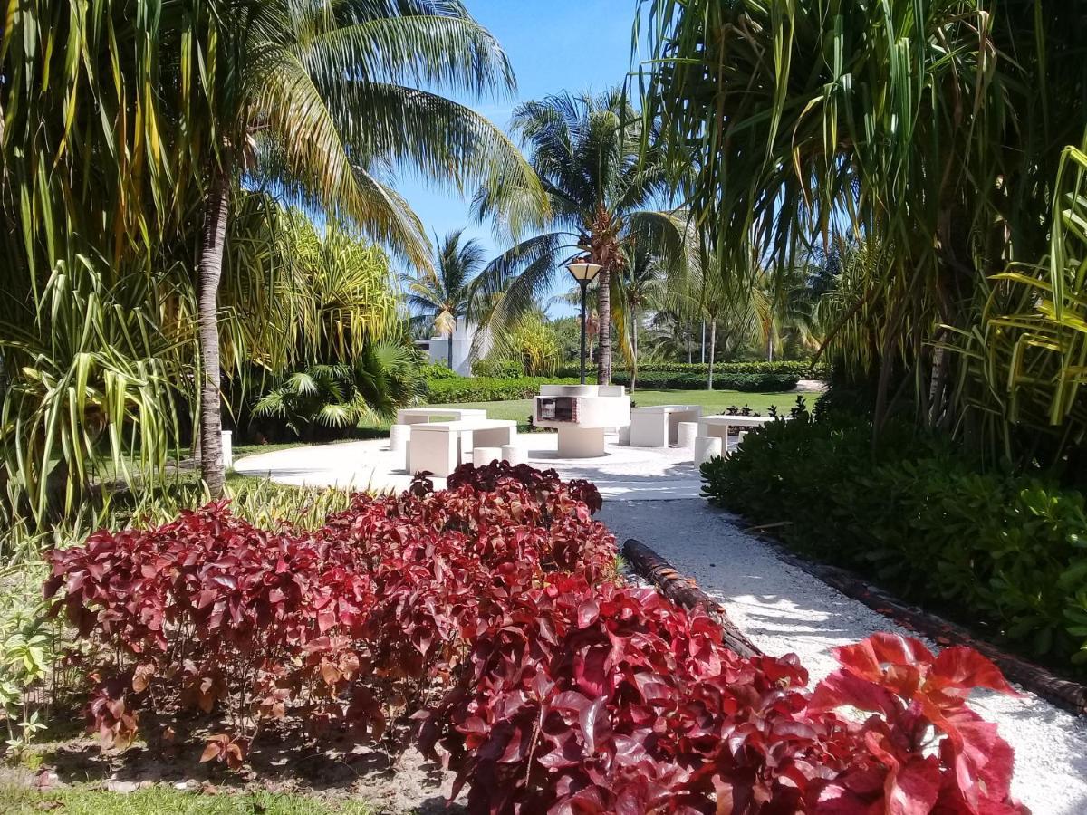 Swim The Caribbean & Work With A View Leilighet Cancún Eksteriør bilde