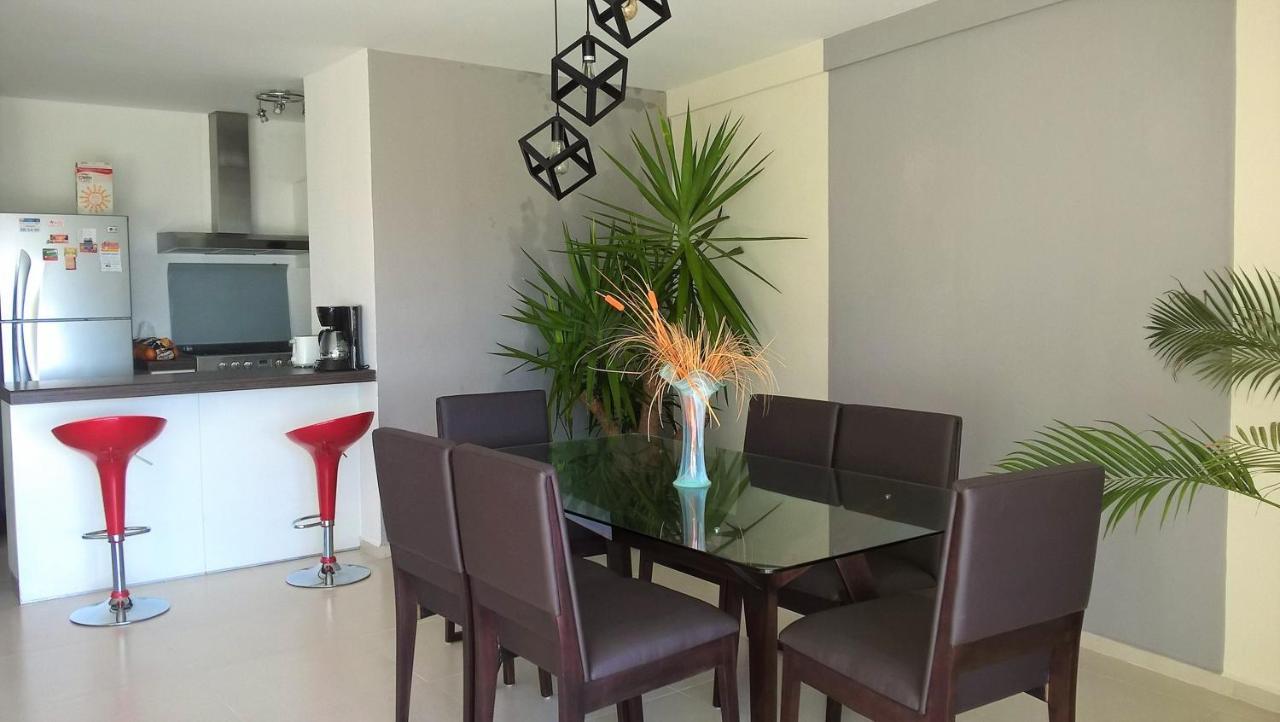 Swim The Caribbean & Work With A View Leilighet Cancún Eksteriør bilde