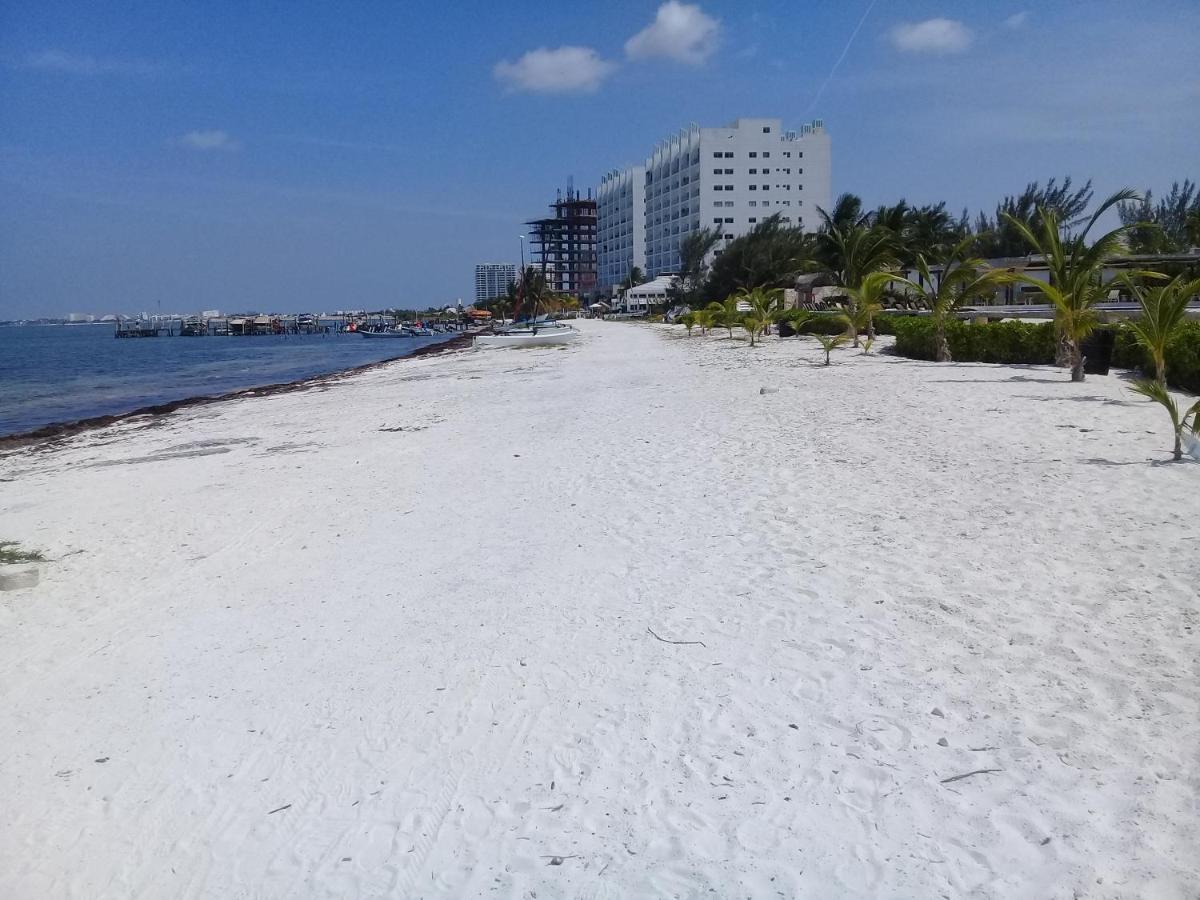 Swim The Caribbean & Work With A View Leilighet Cancún Eksteriør bilde
