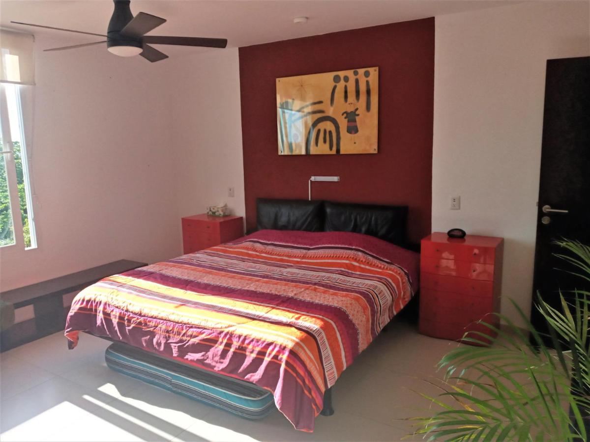 Swim The Caribbean & Work With A View Leilighet Cancún Eksteriør bilde