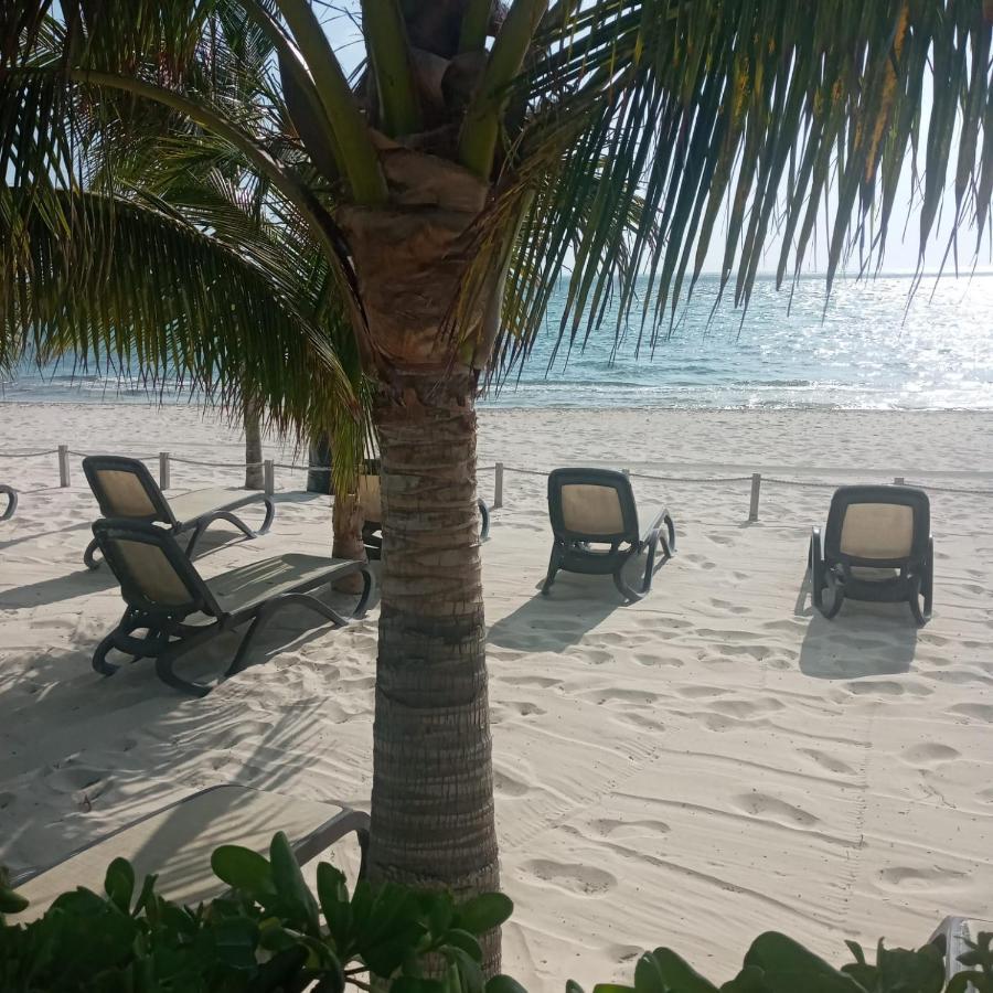 Swim The Caribbean & Work With A View Leilighet Cancún Eksteriør bilde